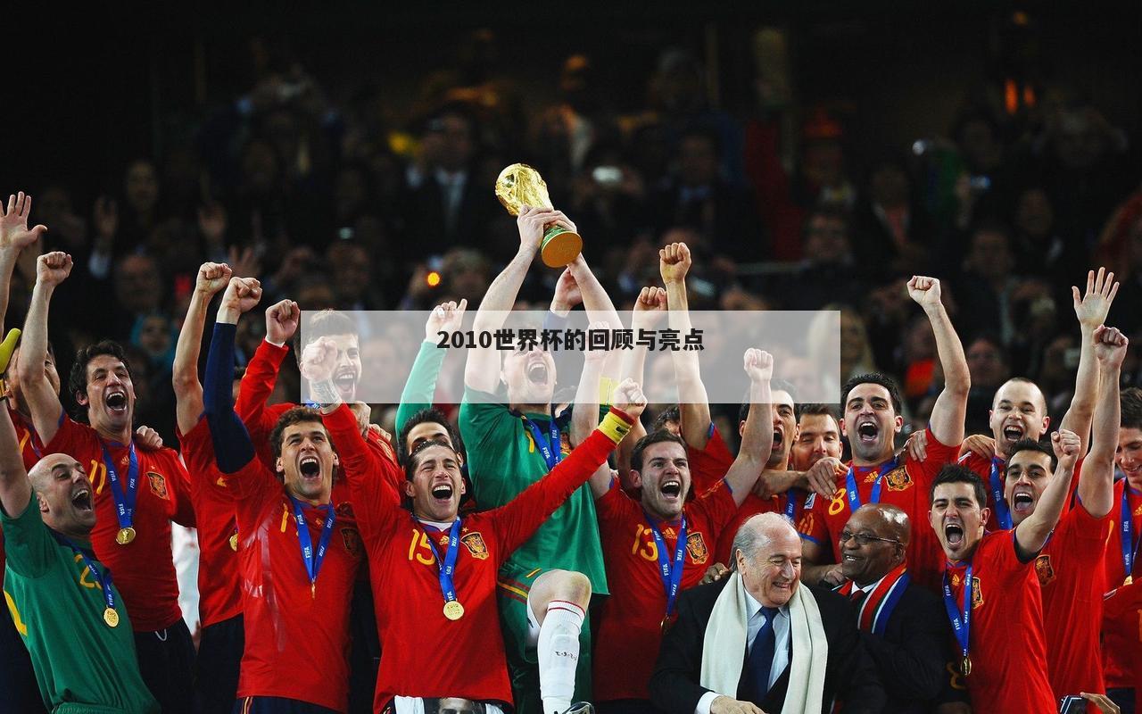 2010世界杯的回顾与亮点